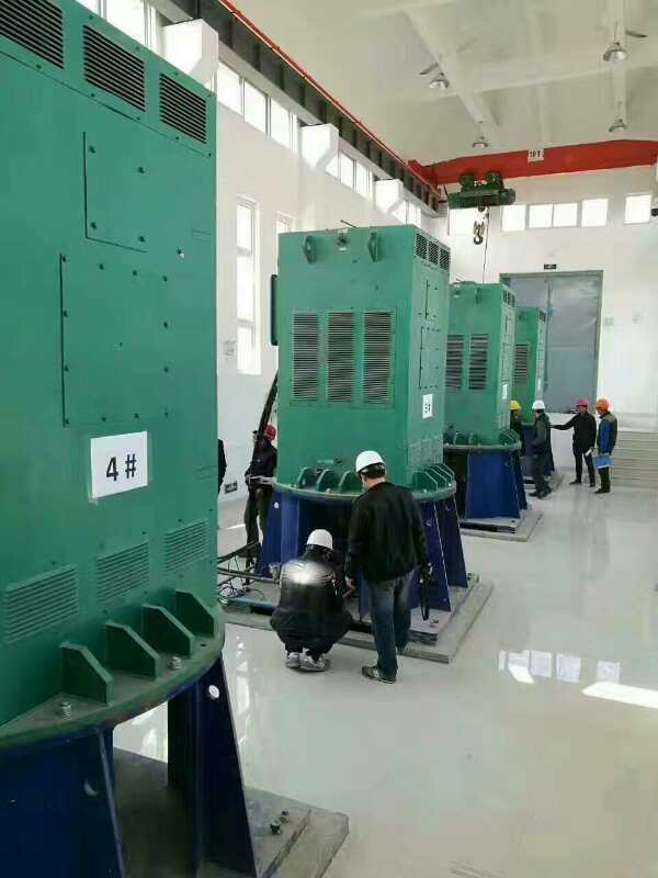 江城某污水处理厂使用我厂的立式高压电机安装现场质量好不好